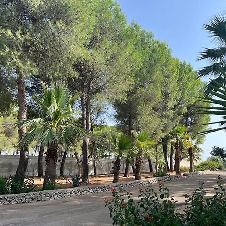 Casette Masseria La Camardia سافا المظهر الخارجي الصورة