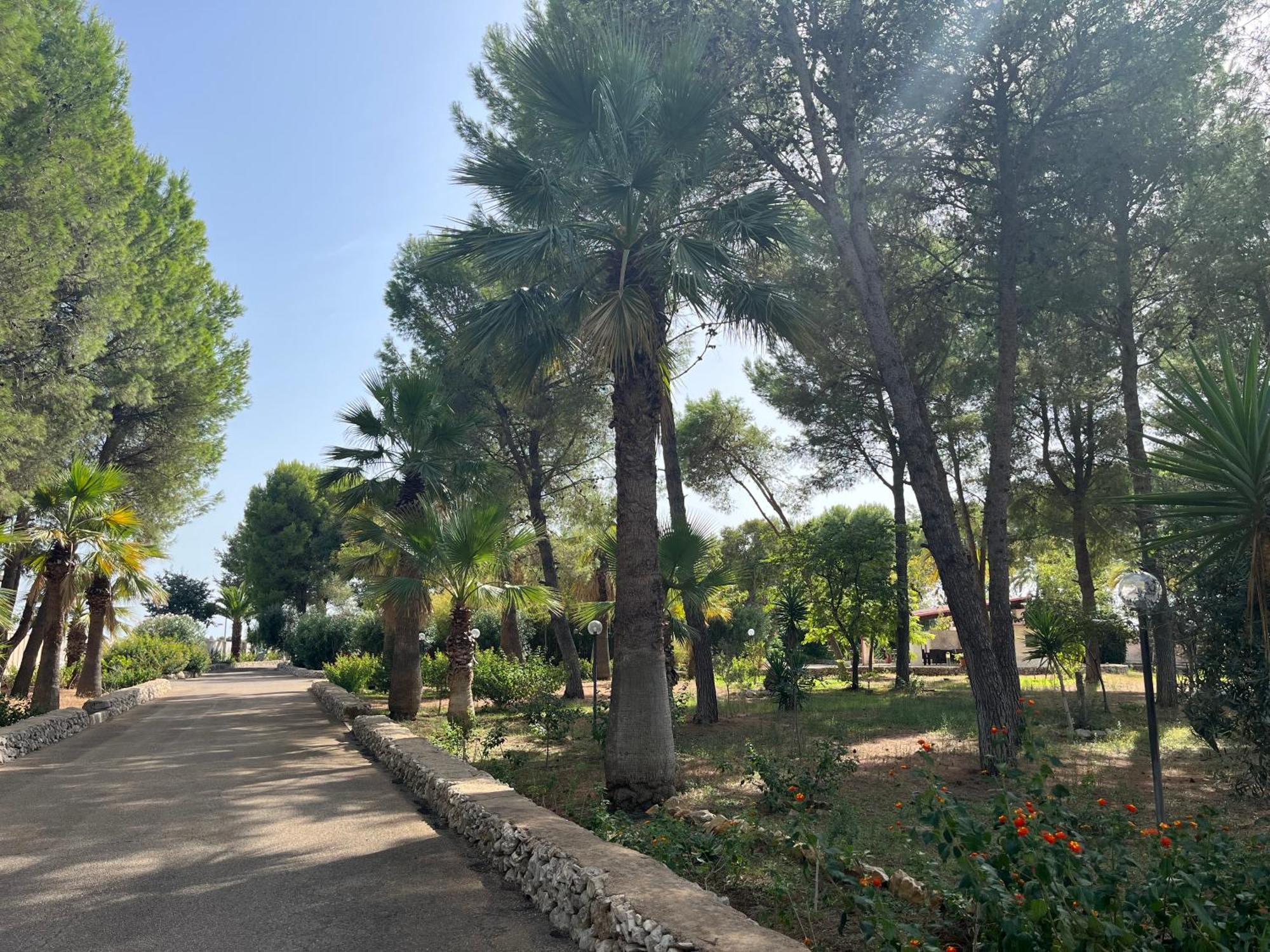 Casette Masseria La Camardia سافا المظهر الخارجي الصورة