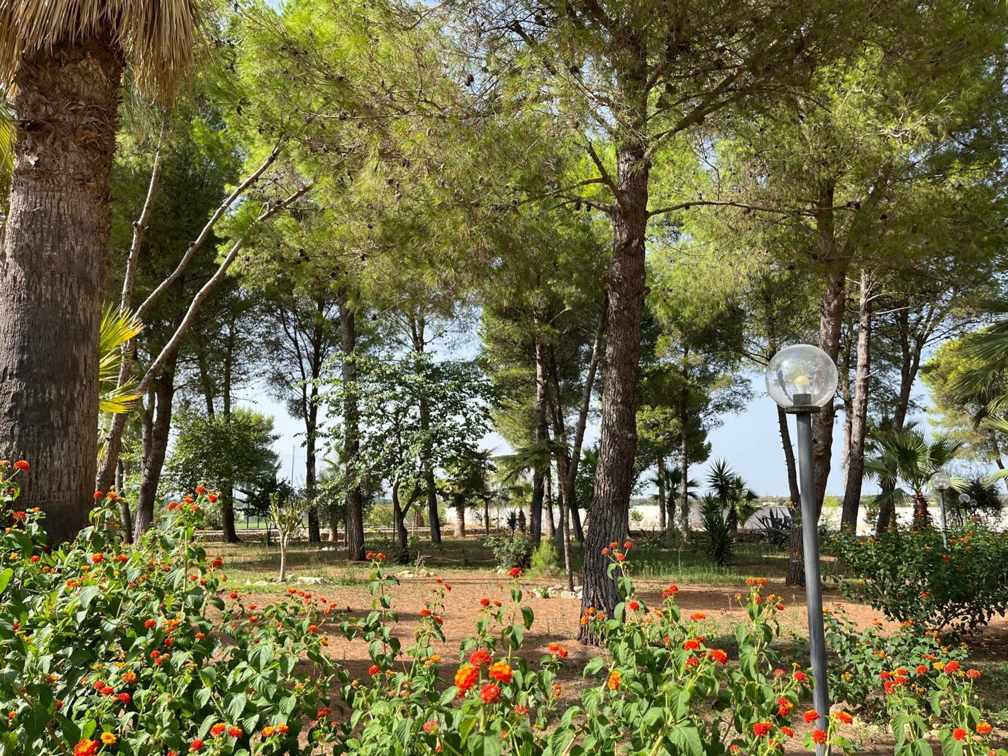 Casette Masseria La Camardia سافا المظهر الخارجي الصورة