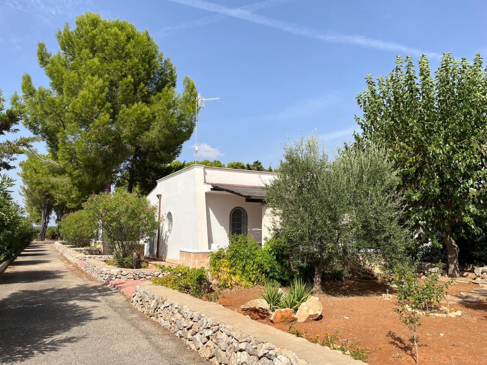 Casette Masseria La Camardia سافا المظهر الخارجي الصورة