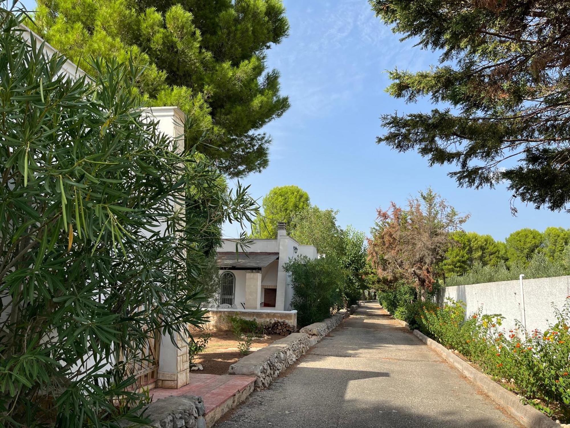 Casette Masseria La Camardia سافا المظهر الخارجي الصورة