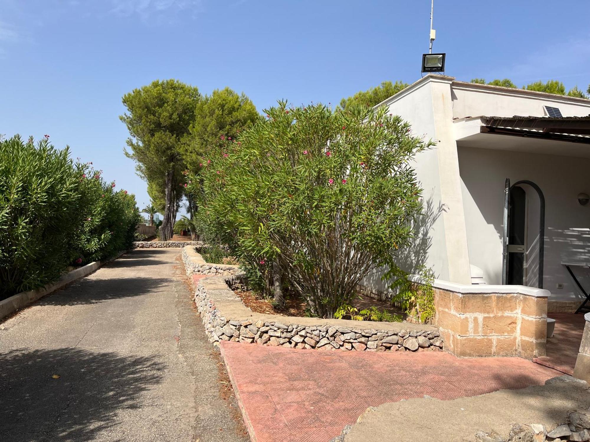 Casette Masseria La Camardia سافا المظهر الخارجي الصورة