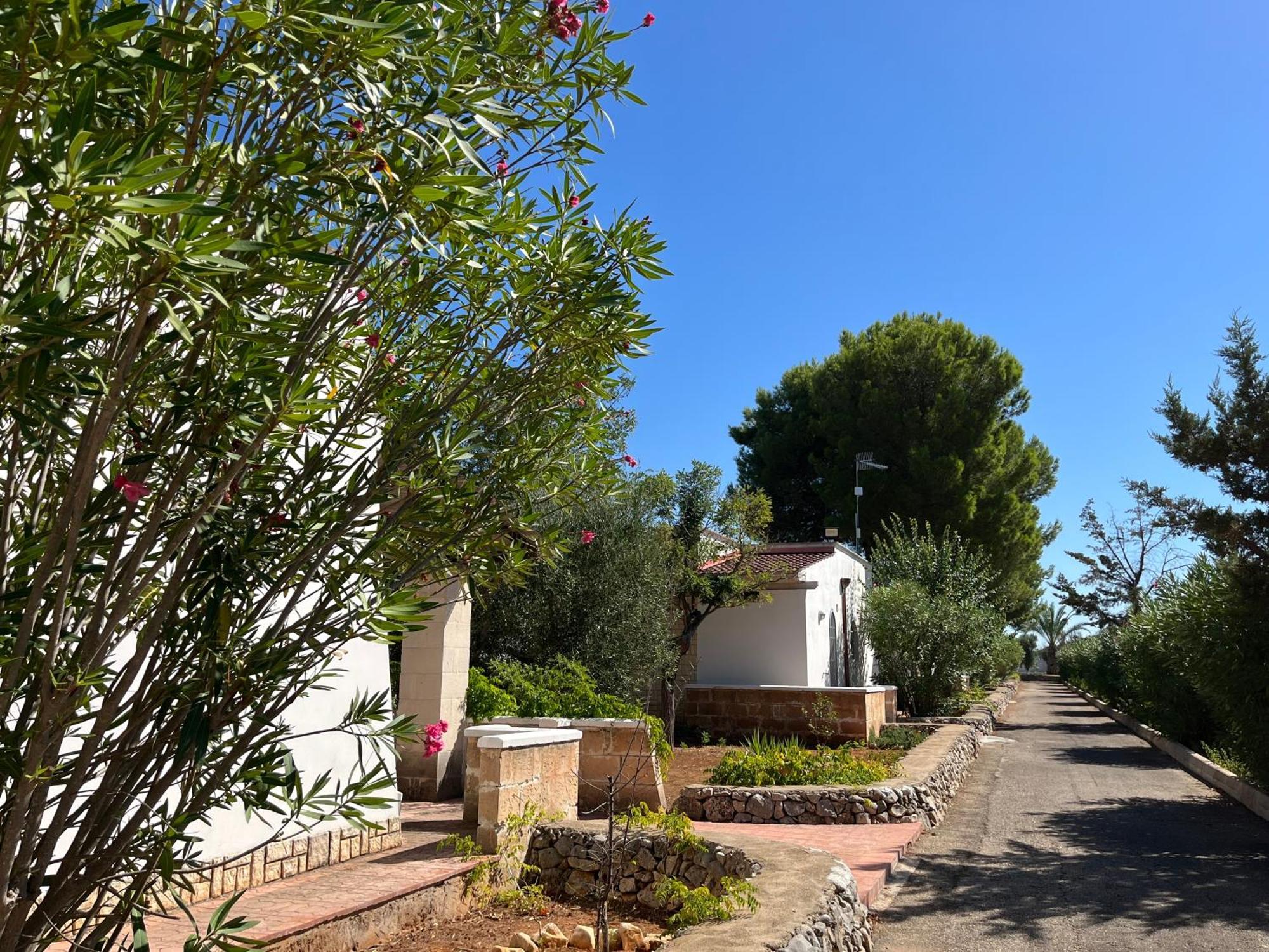 Casette Masseria La Camardia سافا المظهر الخارجي الصورة