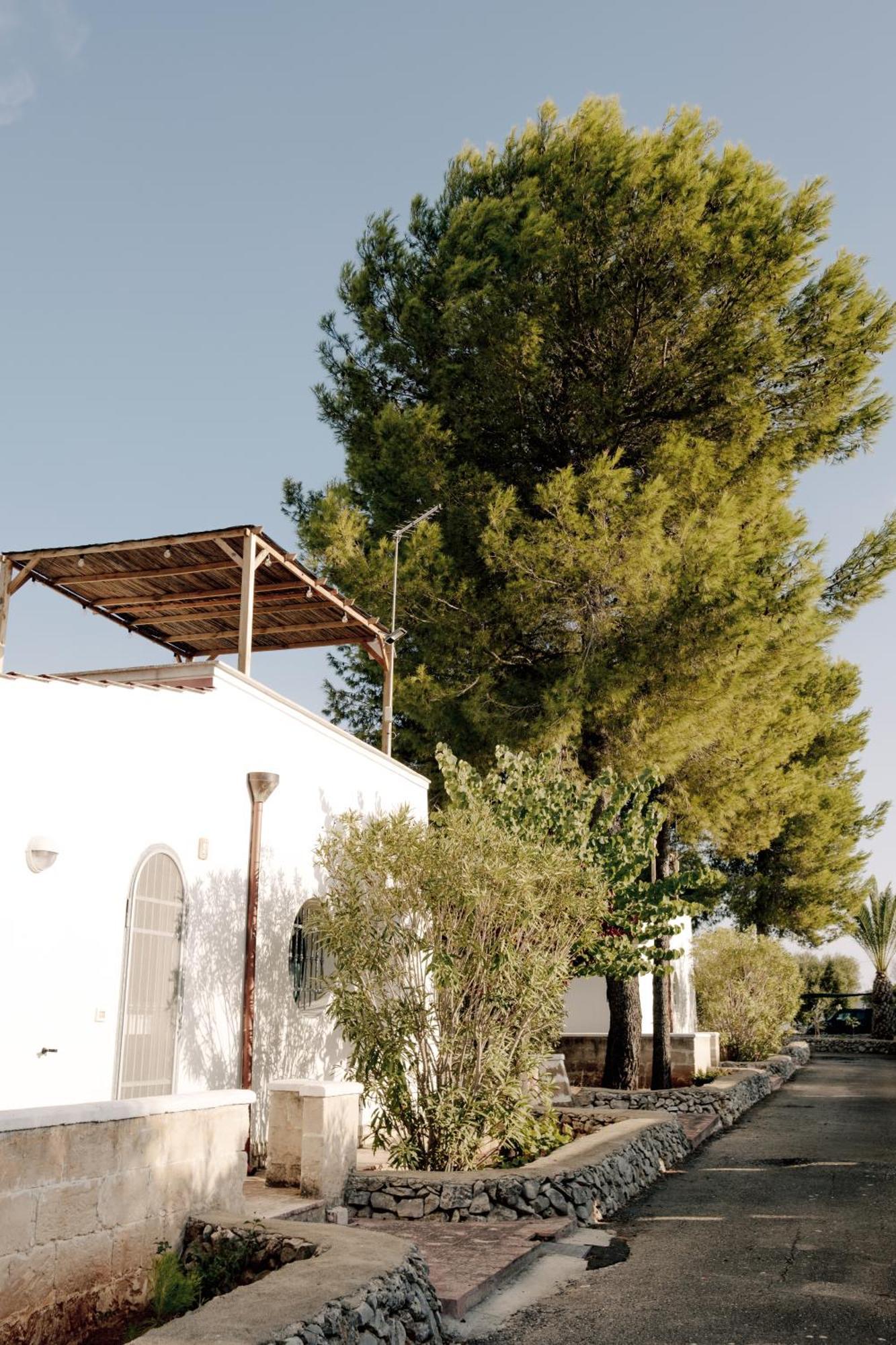 Casette Masseria La Camardia سافا المظهر الخارجي الصورة